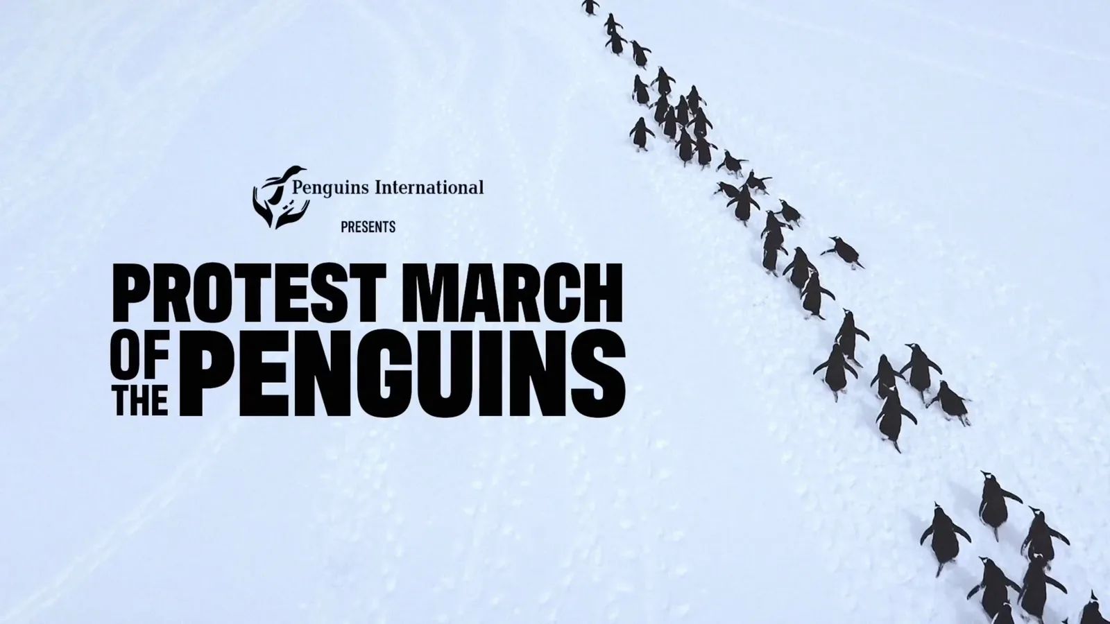 Penguins marching across snow beneath the campaign title