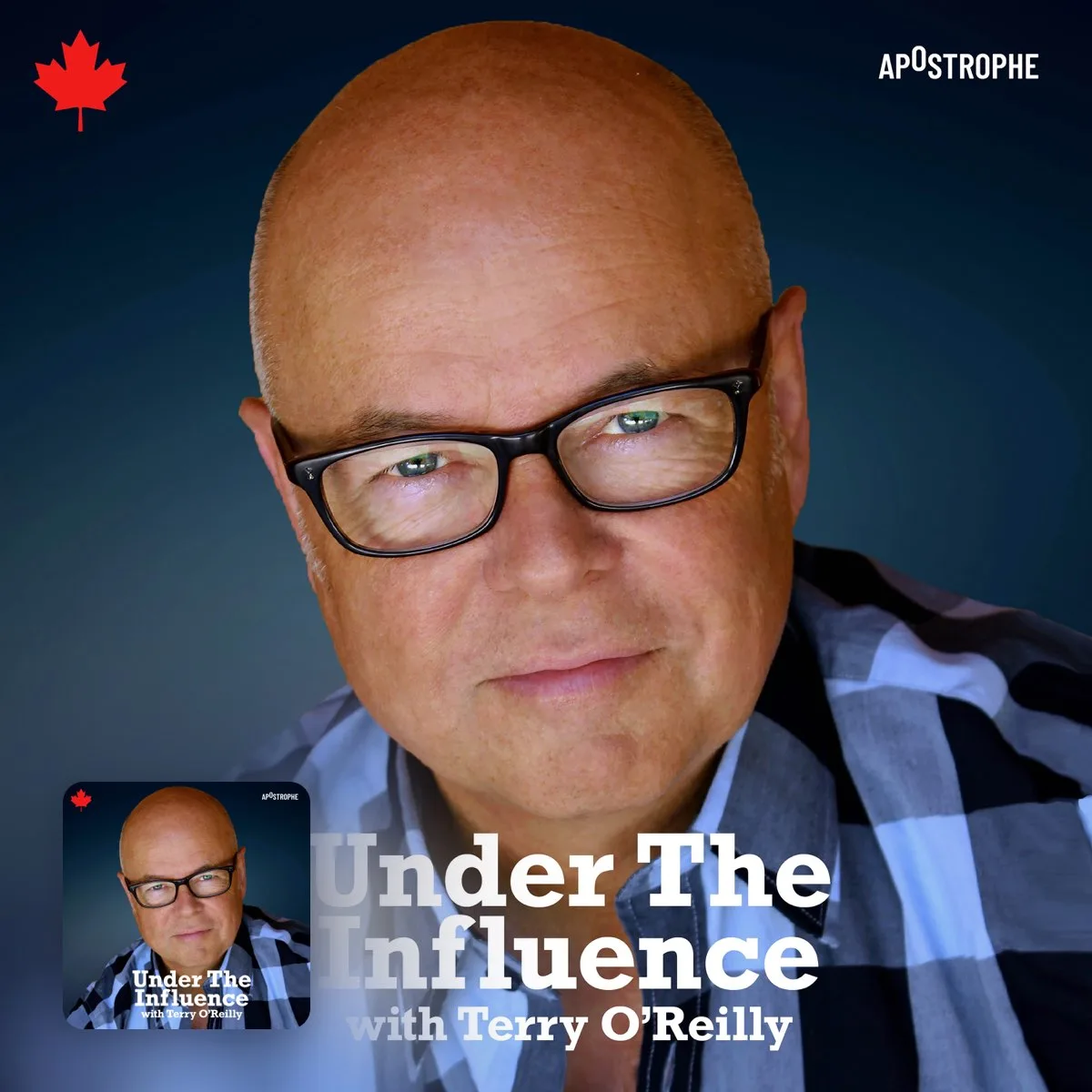 Creativity is the Most Powerful Business Tool: Canadian Marketing Awards 2026