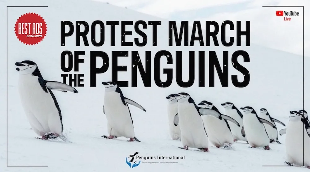 Bestads Best of the Week: Penguins International ‘Protest March of the Penguins’ via Rethink