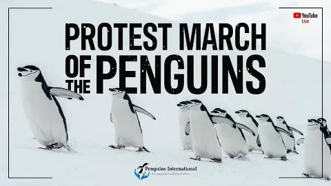 Protest March of The Penguins