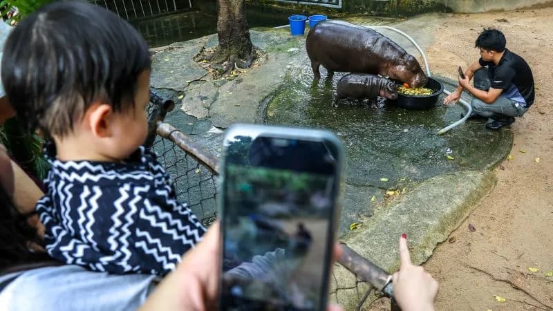 Cute baby animals bring visitors to zoos and aquariums. What happens when they grow up? | CNN