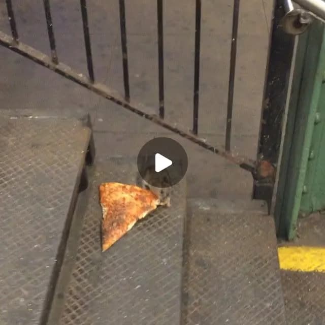 matt little on Instagram: "LINK IN BIO - Master Splinter headed off to feed #TMNT"