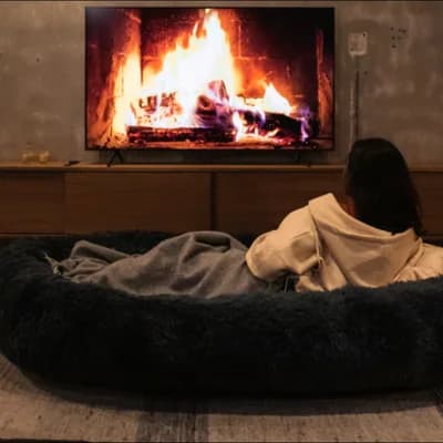 Crowdfunding Smash: A Giant Dog Bed for Humans - Core77