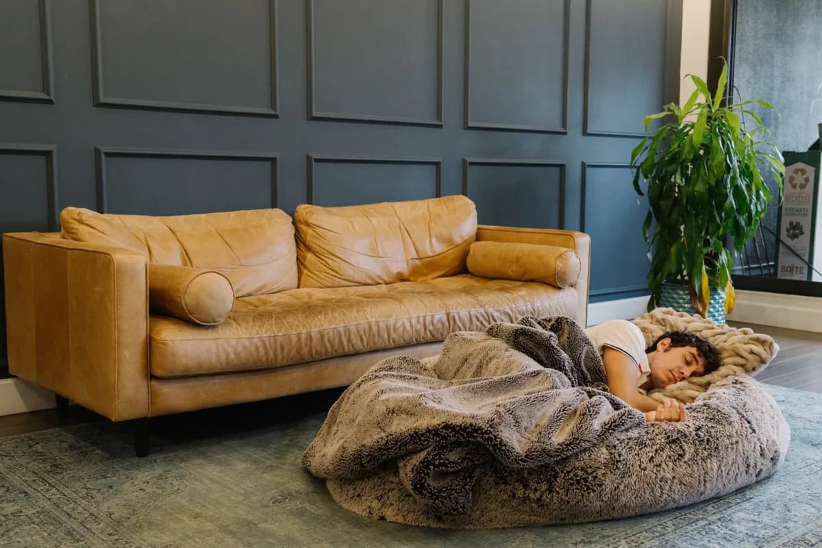 'We've always been huge nap fanatics': Vancouver university students launch dog bed for humans
