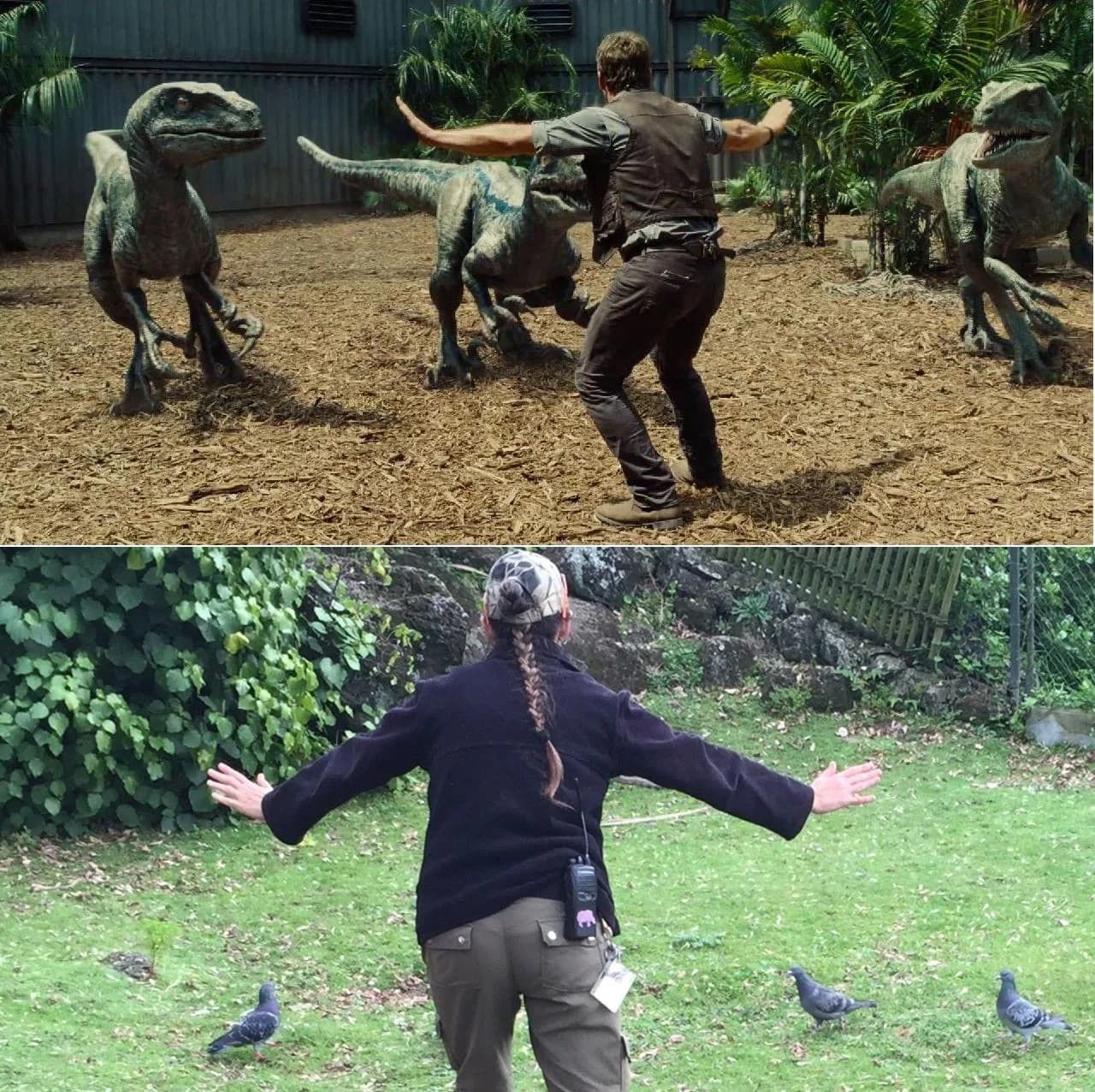 . @woodlandparkzoo @michelledeidre Love your penguins! Here are our pig and pigeon #JurassicZoo keepers. http://t.co/5NW4vxD3cd