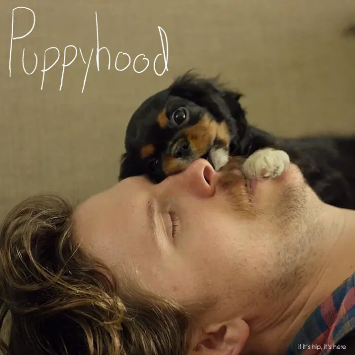 Puppyhood Video is 3.5 Minutes of Pure Love - If It's Hip, It's Here