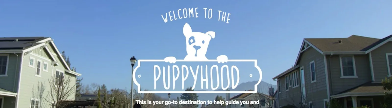Purina turns pet research into content with 'Puppyhood'