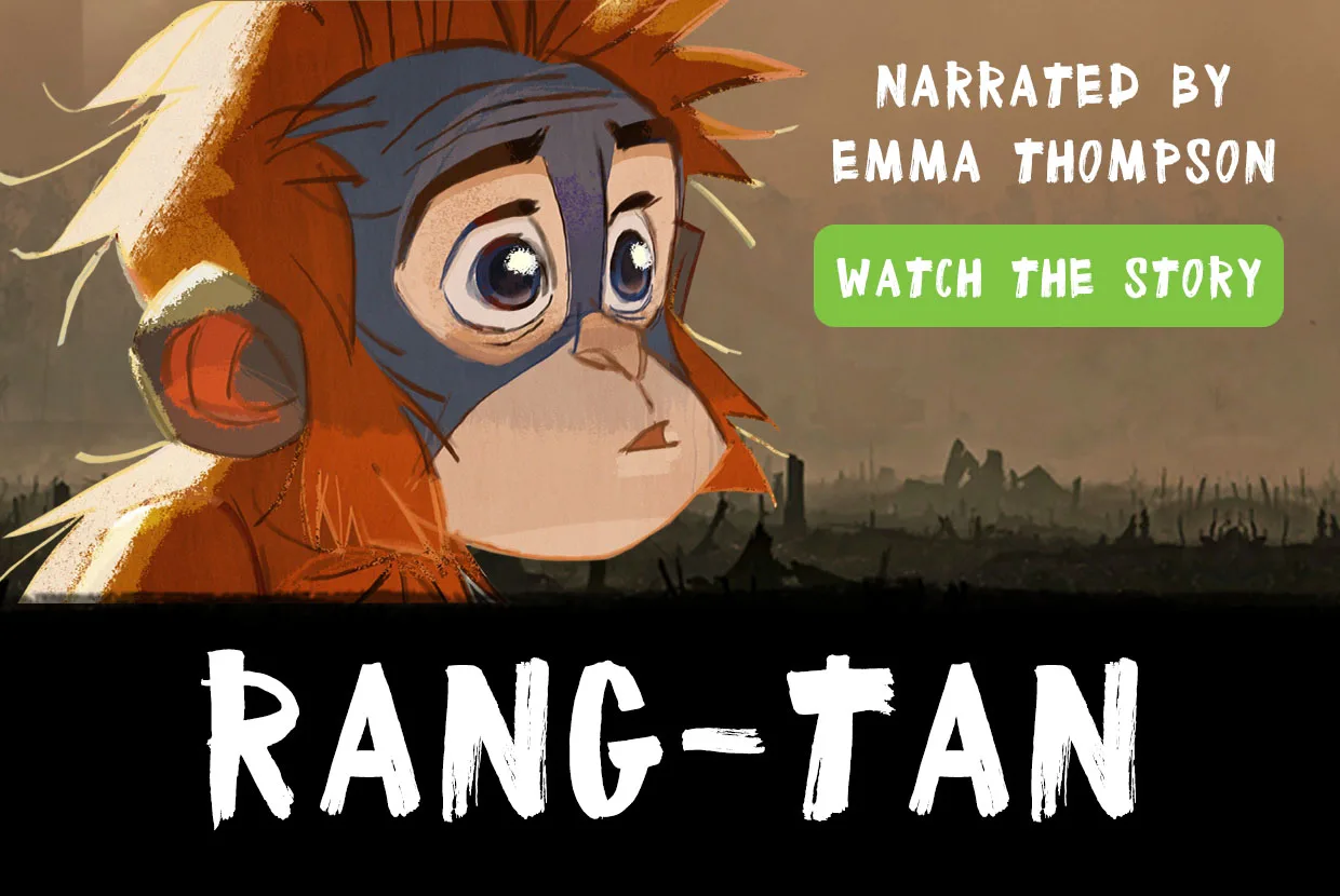 Dame Emma Thompson leads celebs to give global brands 500-day warning: “Stop forest destruction for palm oil and save orangutans” - Greenpeace Aotearoa