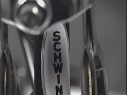 Schwinn Releases Limited Edition Stranger Things Bike