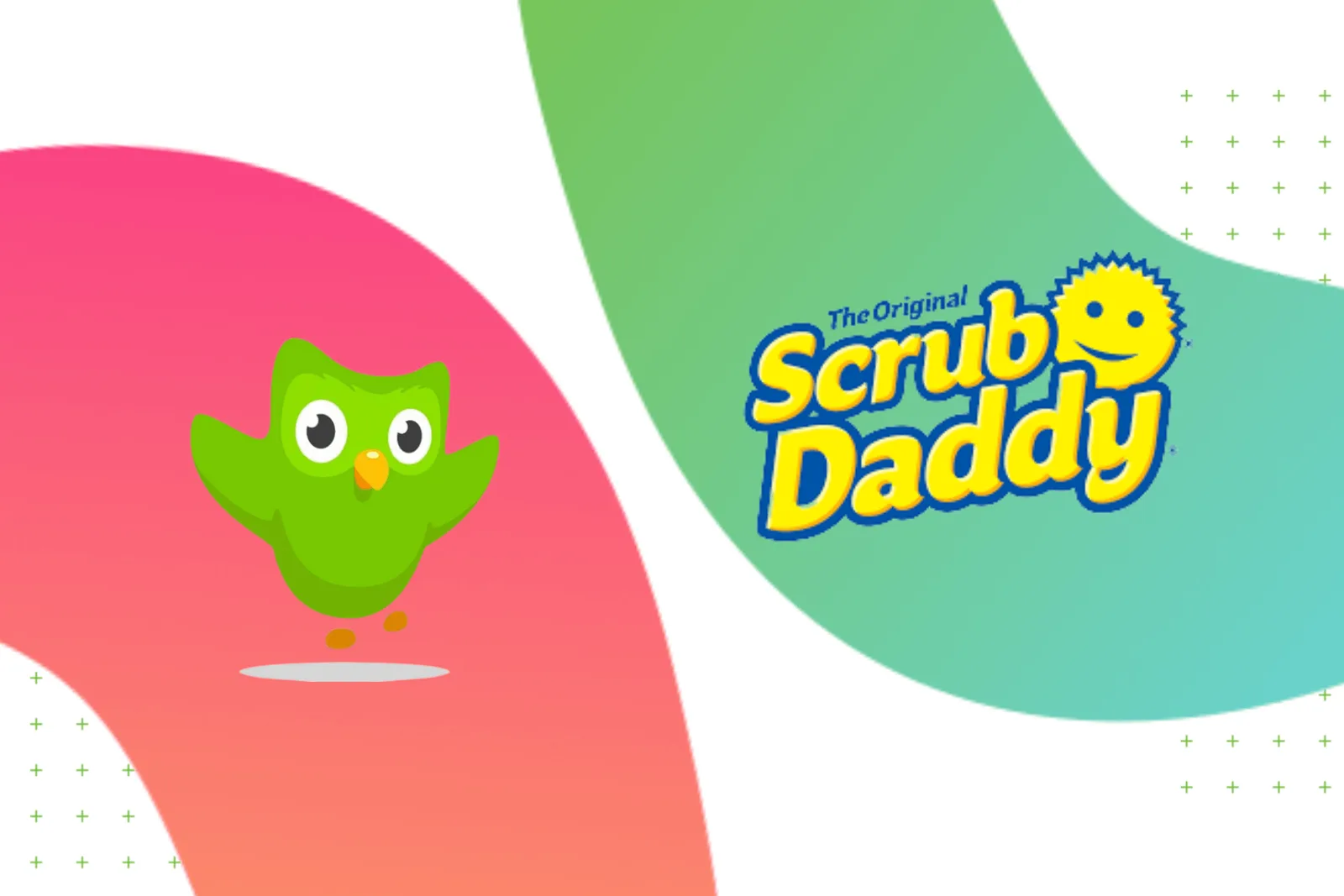 Disruptive Marketing: Duolingo & Scrub Daddy | Firefly Marketing