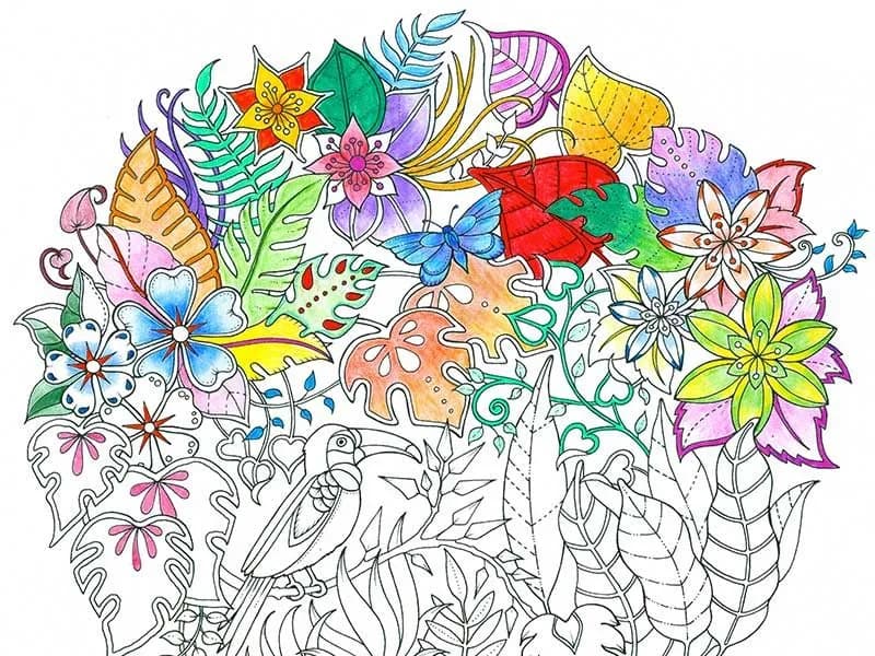 The Artist Who Made Coloring Books Cool for Adults Returns With a New Masterpiece