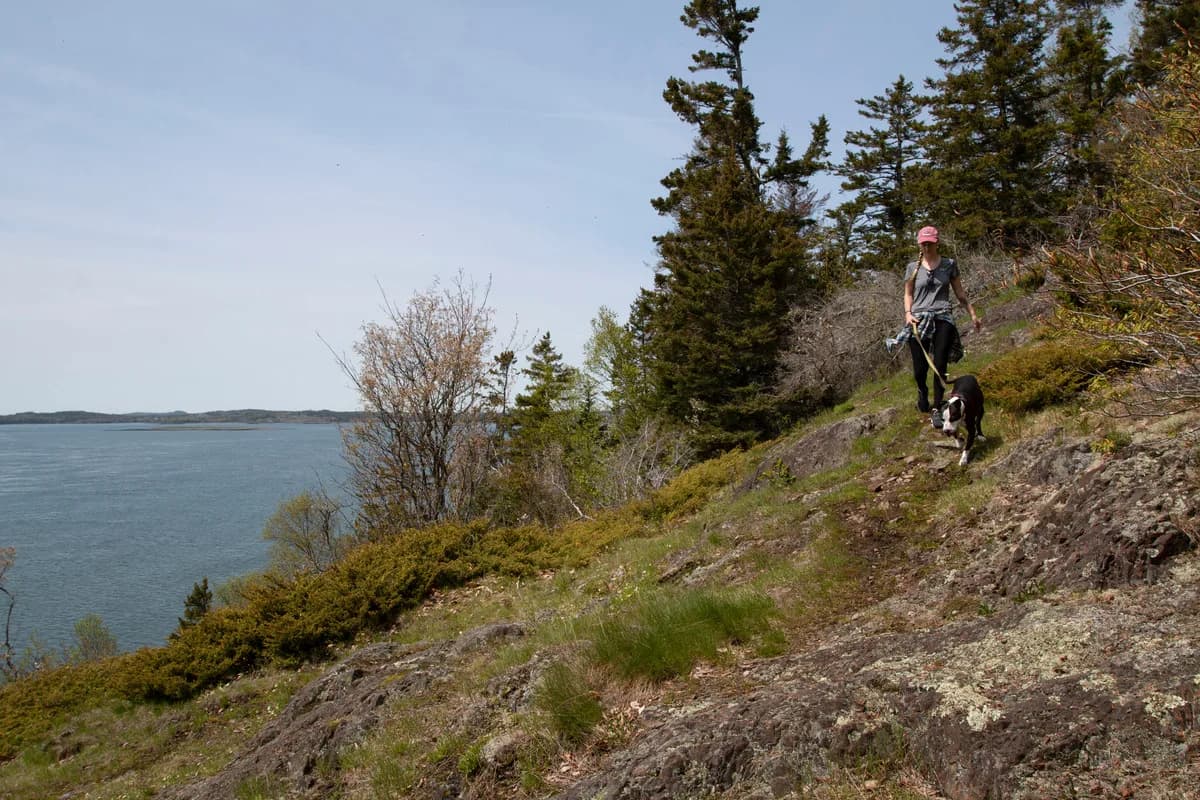 The case for ‘soft hiking’