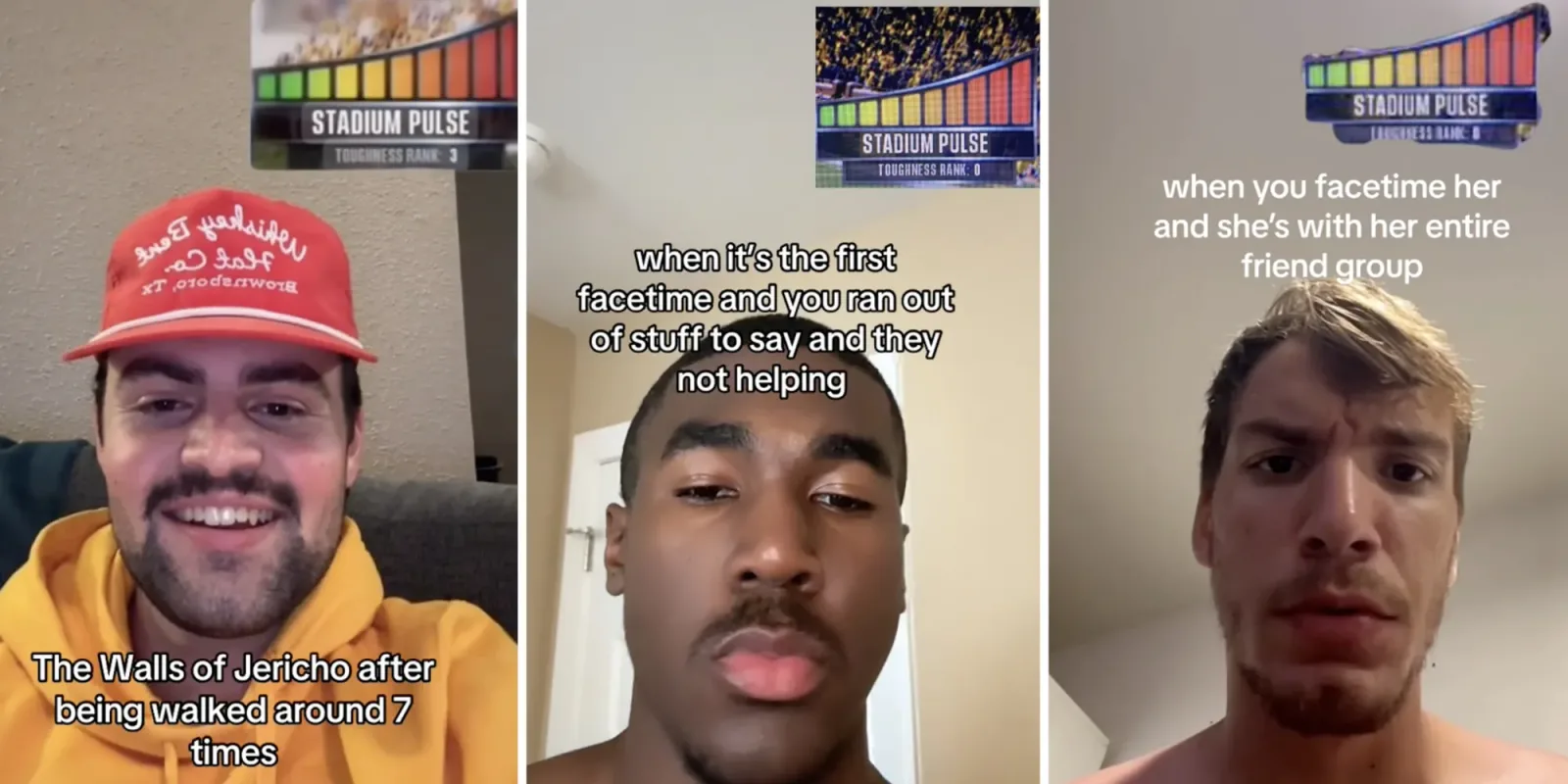 Stadium Pulse Meme From 'EA Sports College Football 25'