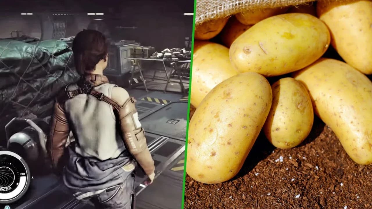 Starfield Fan's Potato-Filled Spaceship Shows Off Impressive Physics System