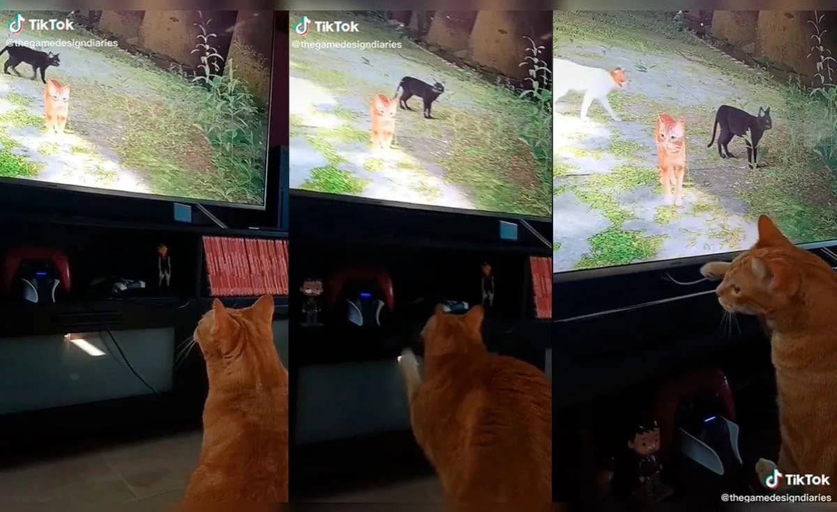 Stray: gatito piensa que los mininos del videojuego son reales y les maúlla para jugar