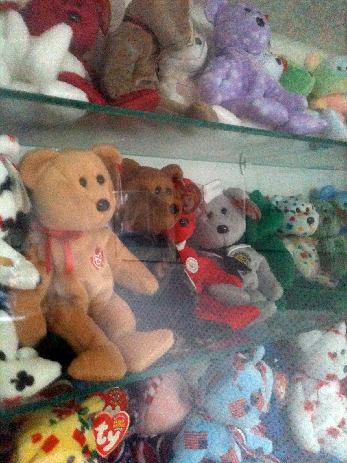 Beanie Baby bears displayed in a collector’s cabinet; photographed in 2013, CC BY-SA 2.0.