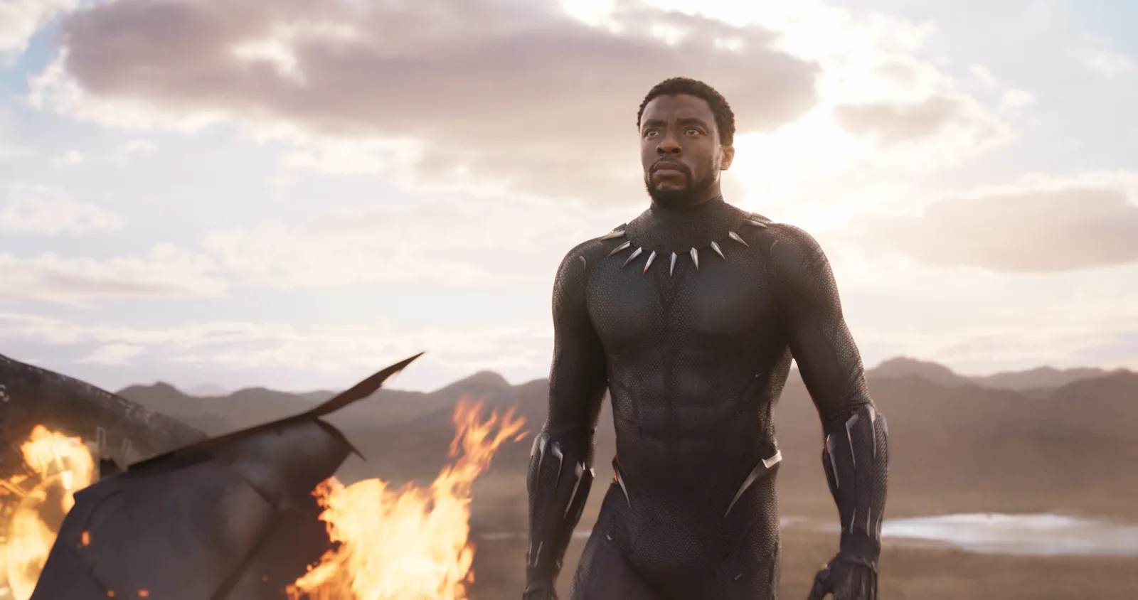 Chadwick Boseman as T'Challa.