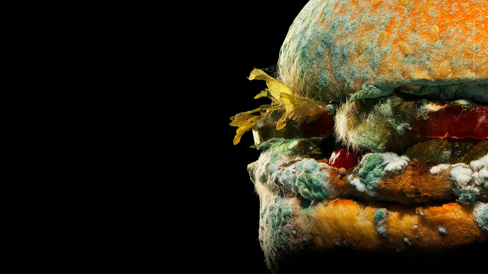 DAVID & INGO: Burger King Moldy Whopper
