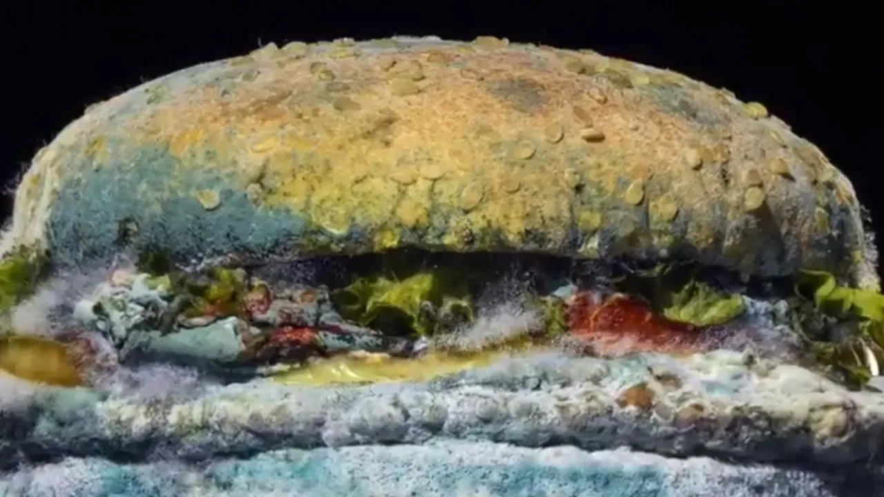 Burger King shows moldy Whopper in new ad campaign