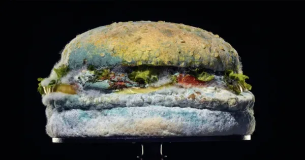 Why Burger King Is Proudly Advertising a Moldy Whopper