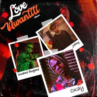 Love Nwantiti: cover art