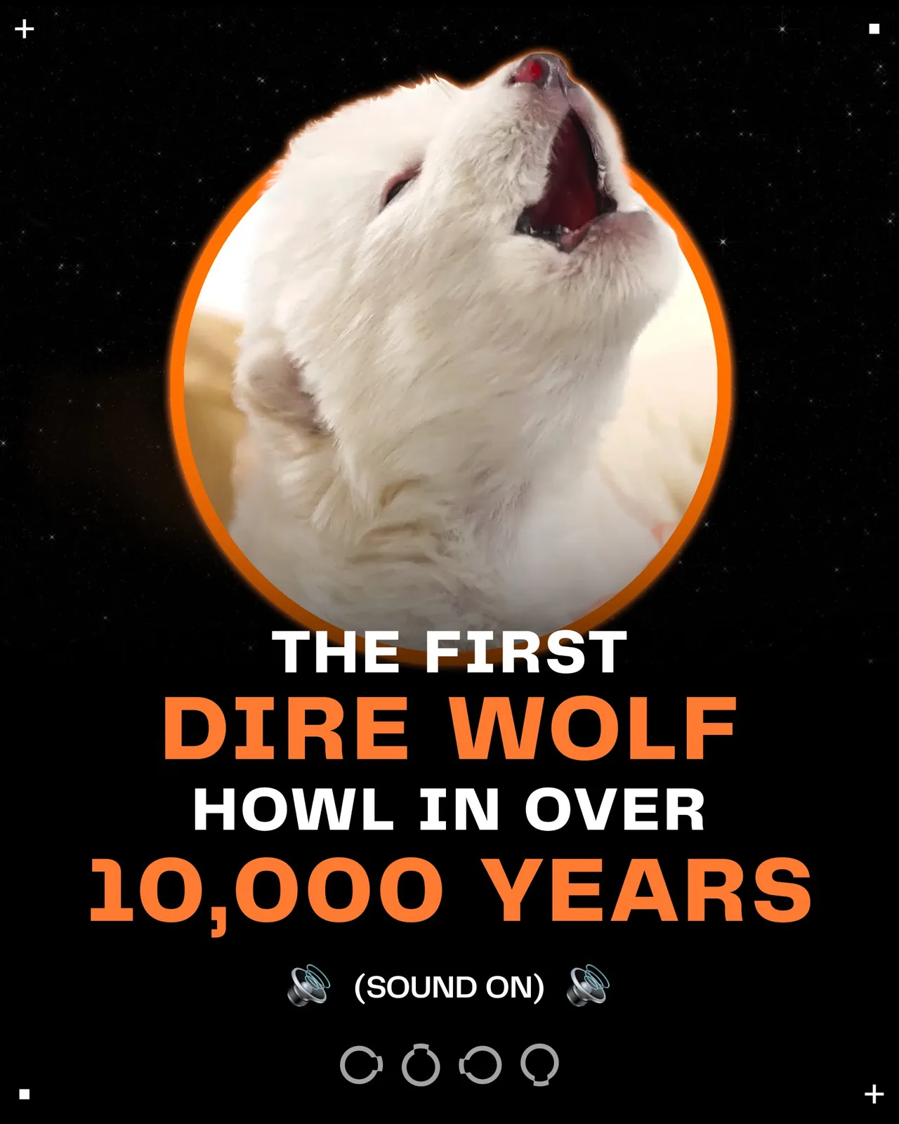 SOUND ON. You’re hearing the first howl of a dire wolf in over 10,000 years. Meet Romulus and Remus—the world’s first de-extinct animals, born on October 1, 2024. The dire wolf has been extinct for…