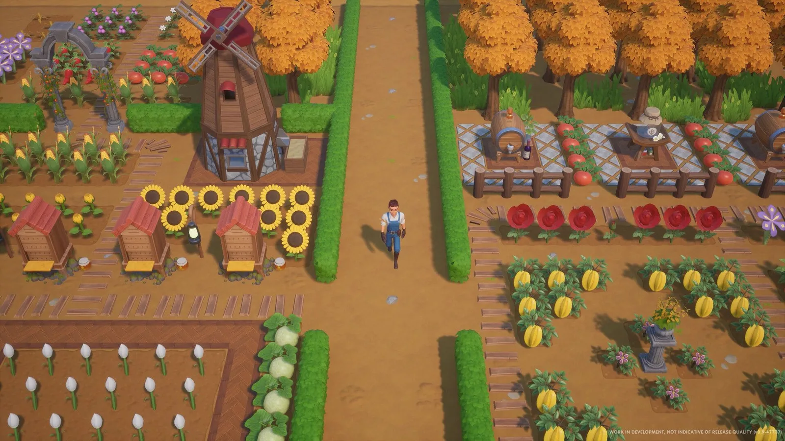 Coral Island Farm