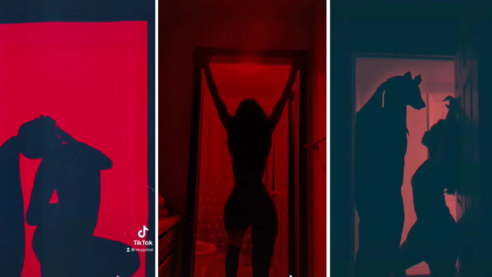 Silhouette Challenge | Know Your Meme