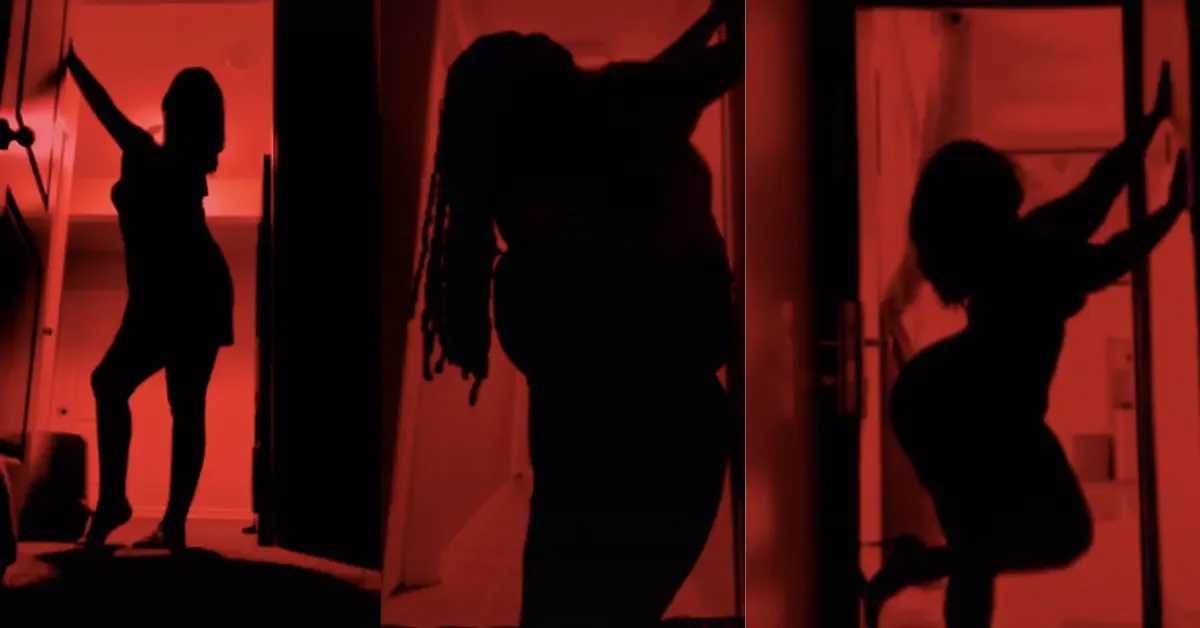 Silhouette Challenge