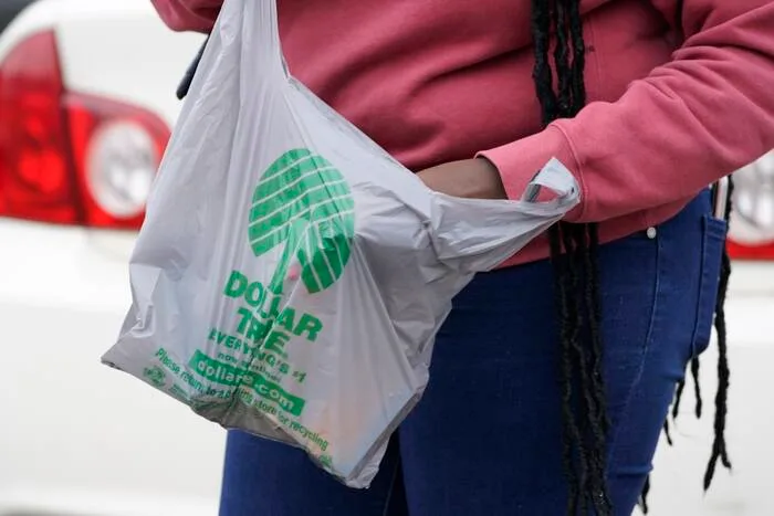 A shopper carrying a Dollar Tree bag