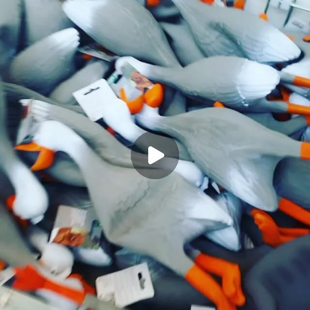 Kevin Synnes on Instagram: "The original video... Husk lyd! :D for licensing / usage, please contact licensing@viralhog.com #duckarmy #viralhog #funny #biltema #kristiansand #friday #vacation #ducks…