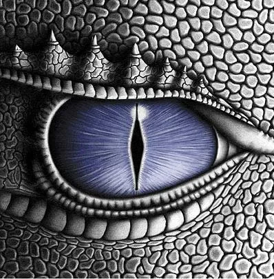 Dragon-eye illustration from the self-published Eragon cover