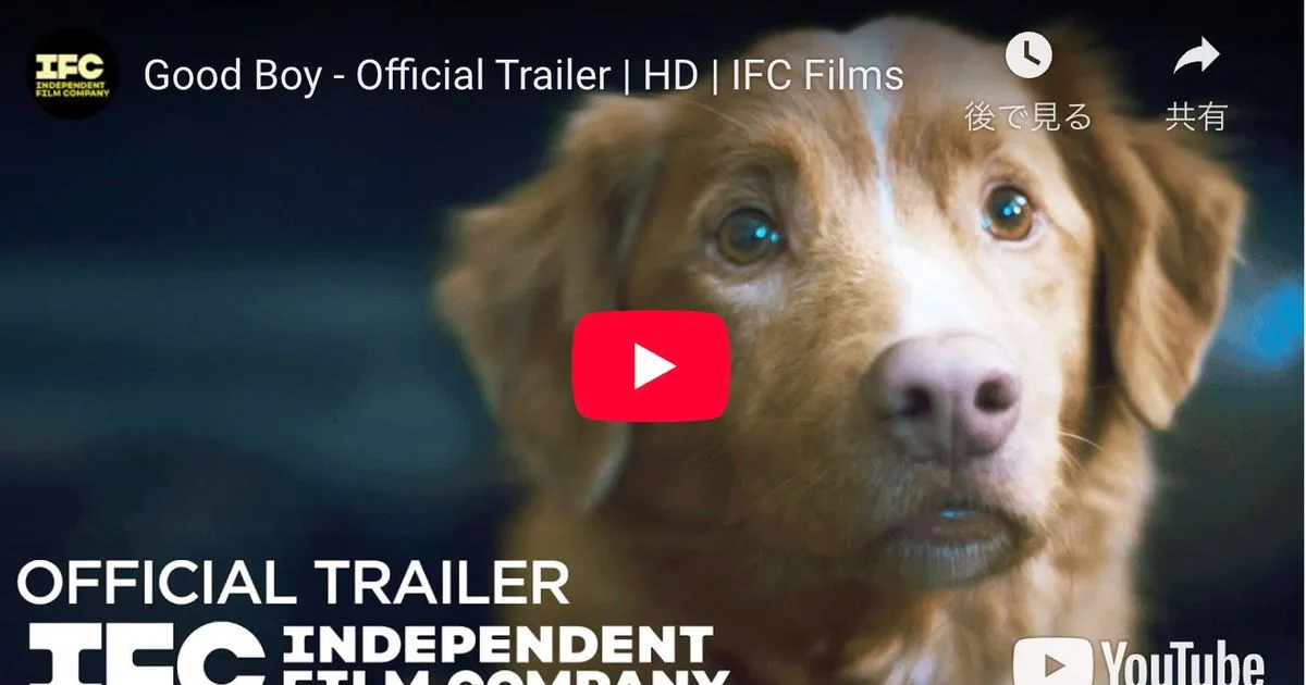 全編犬視点の異色ホラー『Good Boy』予告編公開 飼い主守るワンちゃん、邪悪な存在に立ち向かう｜シネマトゥデイ
