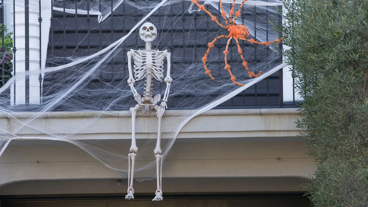 Home Depot's giant Halloween skeleton sells out online: 'I love him'