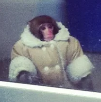 IKEA Monkey