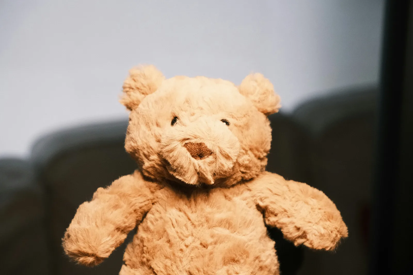 From queries to growth: Jellycat's journey with search data