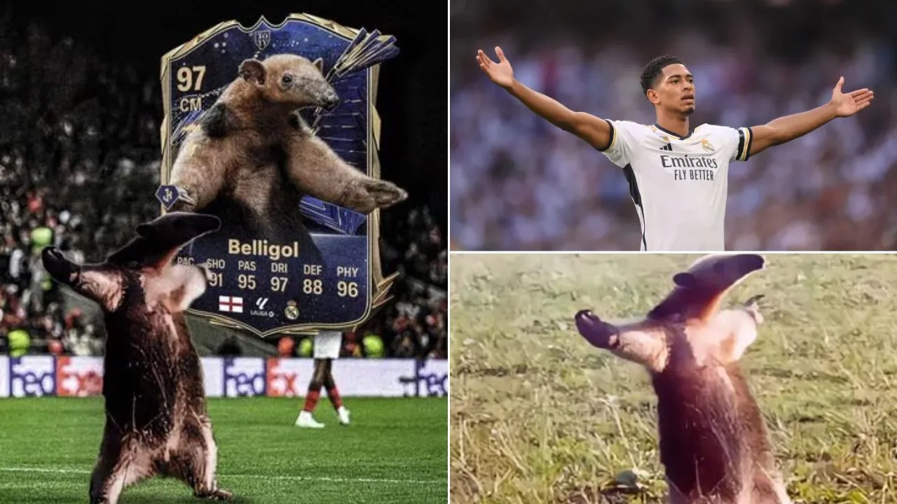 Bellingham 'Oso hormiguero': origen del apodo y por qué se le llama así al futbolista