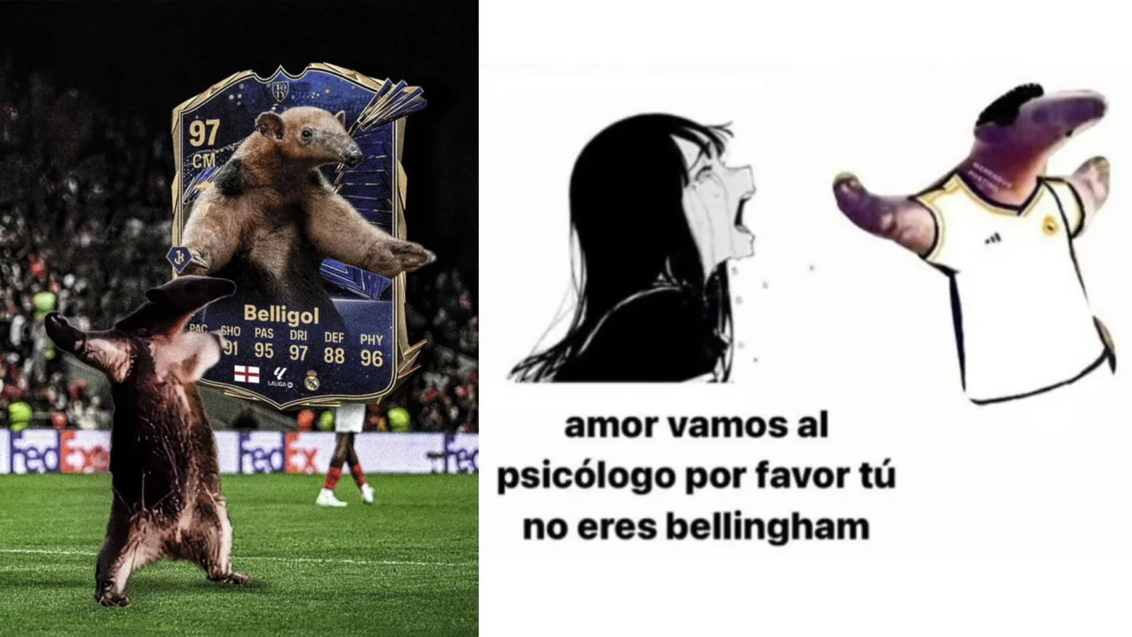 15 Memes About Bellingham's Celebration That Took Over Brazilian TikTok Users FY Page