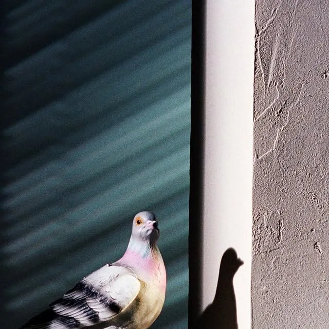 JW ANDERSON on Instagram: "THE PIGEON CLUTCH ‘..And Just Like That’ , the Pigeon Clutch is back Landed now at jwanderson.com, JW Anderson Soho in London and JW Anderson in Milan JW Anderson Soho, 2…