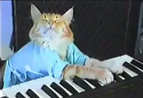Keyboard Cat! - THE ORIGINAL!