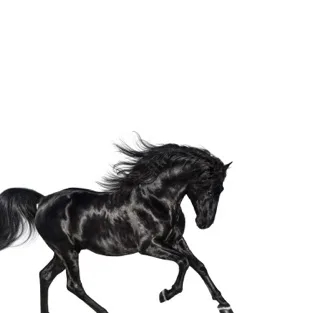 Old Town Road: cover art