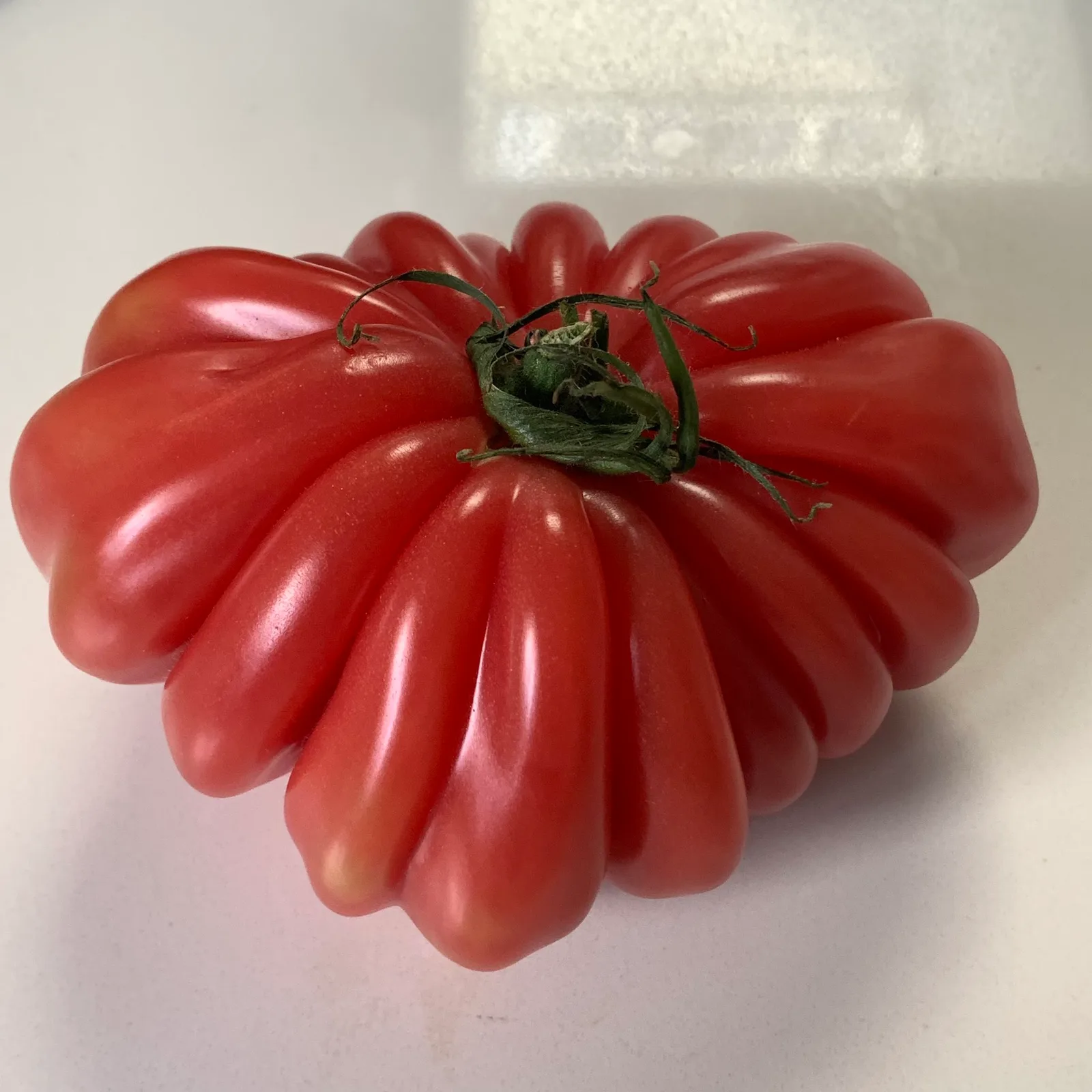 This tomato is so Loewe I can’t explain it