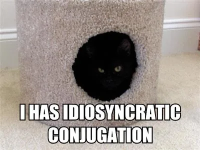 Cats Can Has Grammar - Anil Dash