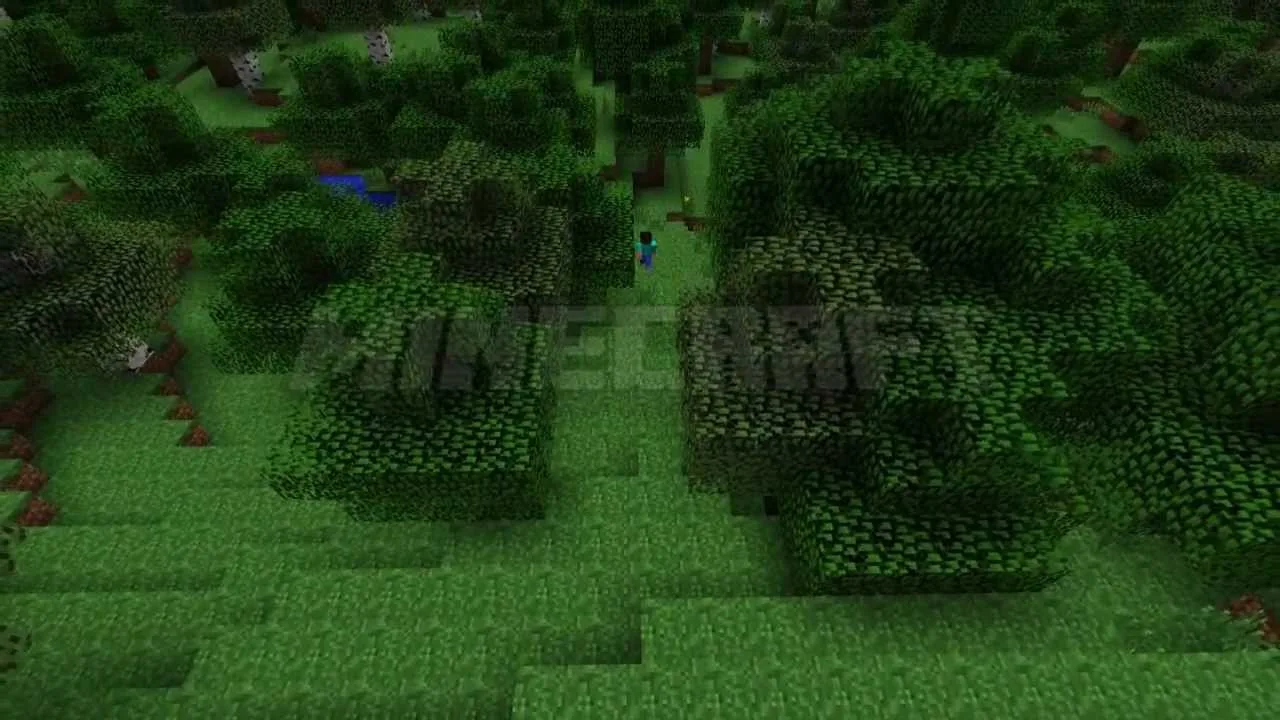 Forest scene from the official Minecraft trailer