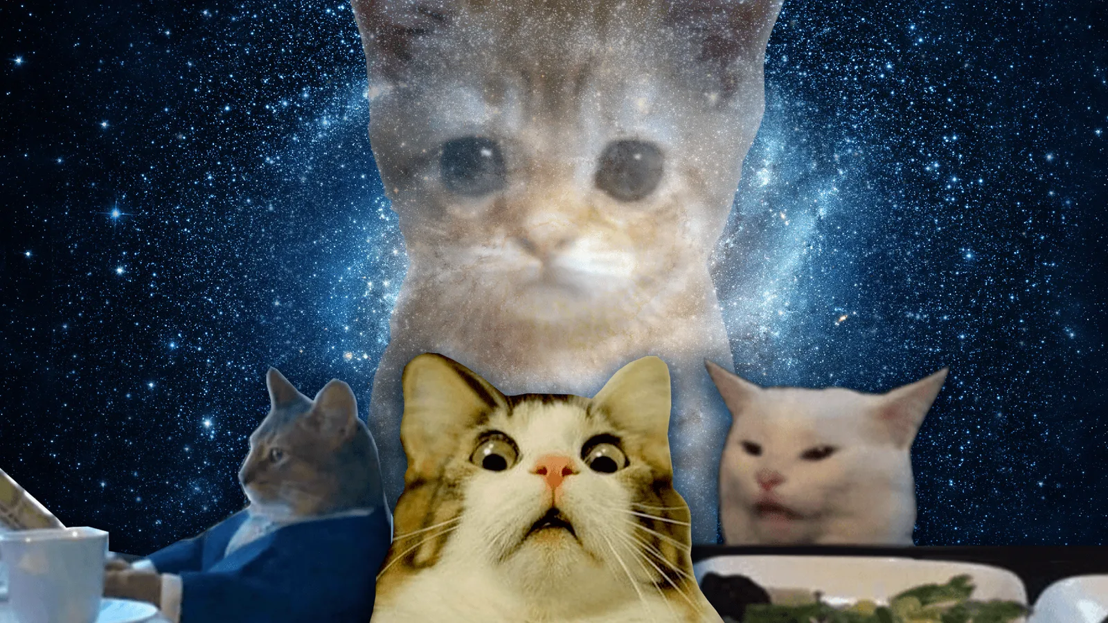 Official January 2023 cat-bot launch artwork, including Mittens.