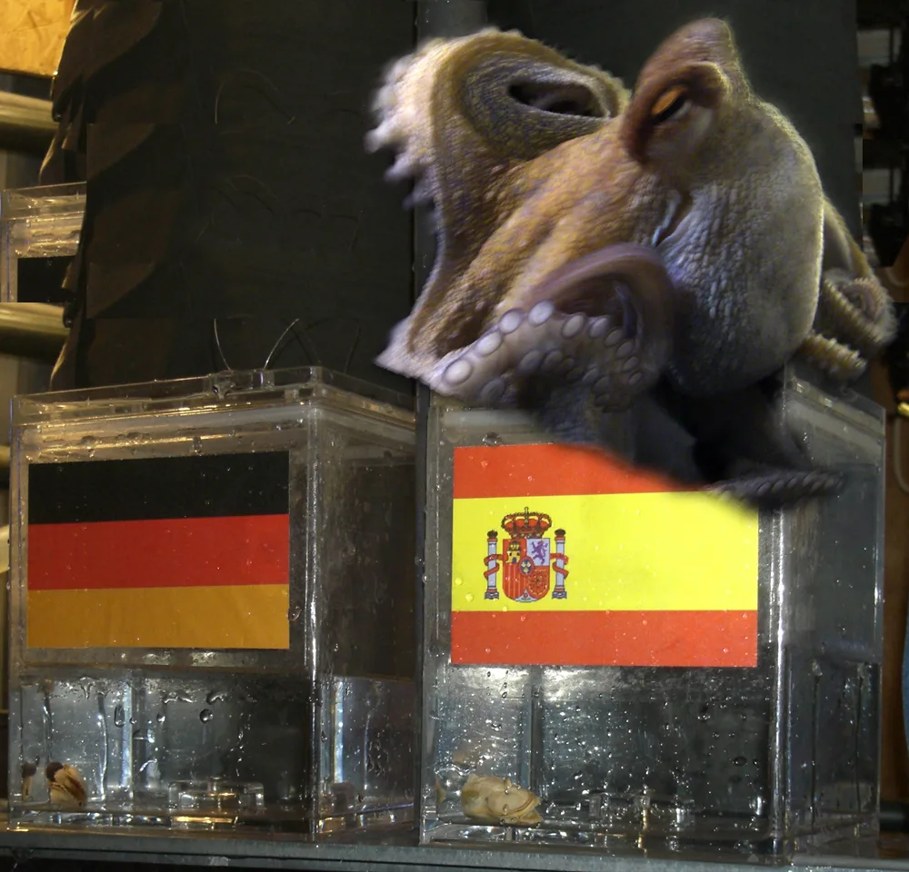File:Paul the Octopus.jpg - Wikimedia Commons