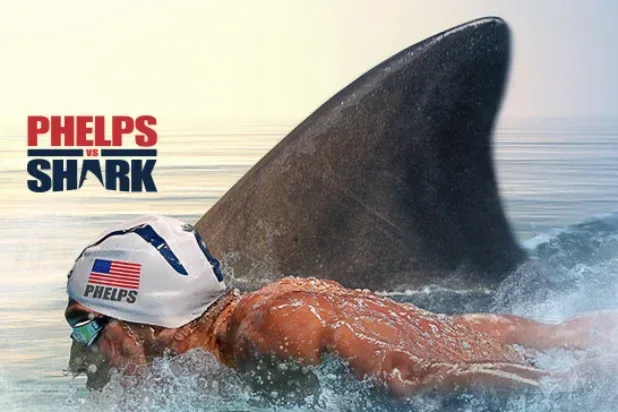 Phelps vs Shark key art
