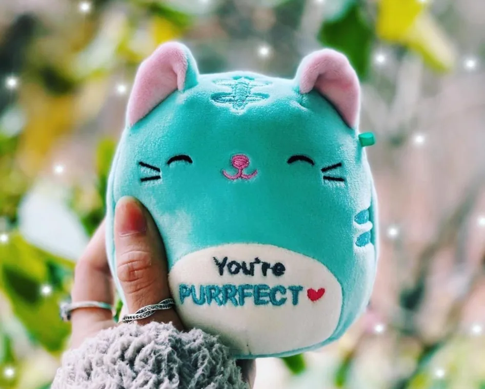 These Soft, Cuddly Toys Have a Devoted Following of Millions of Gen Z & Millennials - YPulse