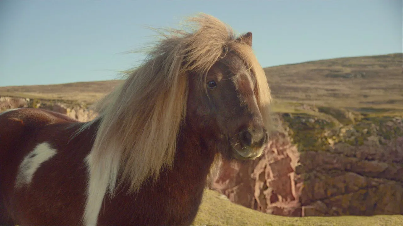 Three Mobile - Pony