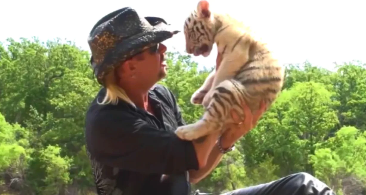 Tiger King: Murder, Mayhem and Madness | Know Your Meme